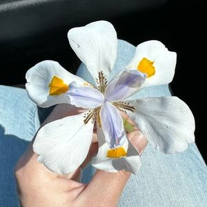 Meet your Posher, Summer